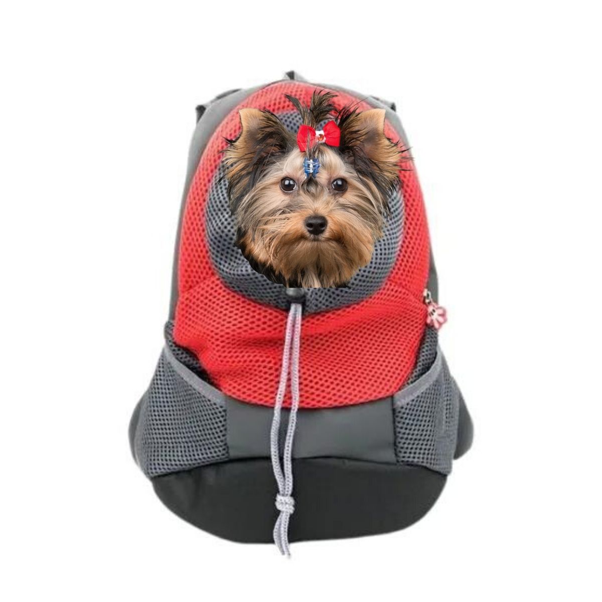 Mochila Transportadora Para Perros