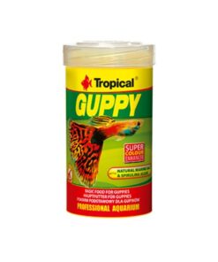 Tropical GUPPY