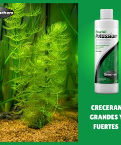 Flourish Potassium Seachem para acuarios