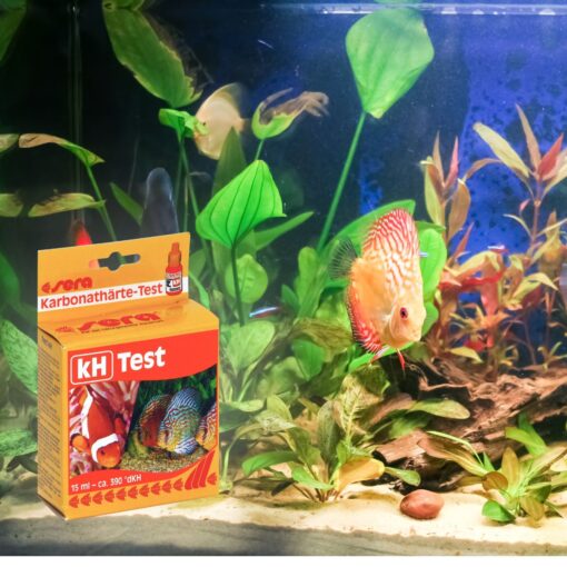 ACUARIO