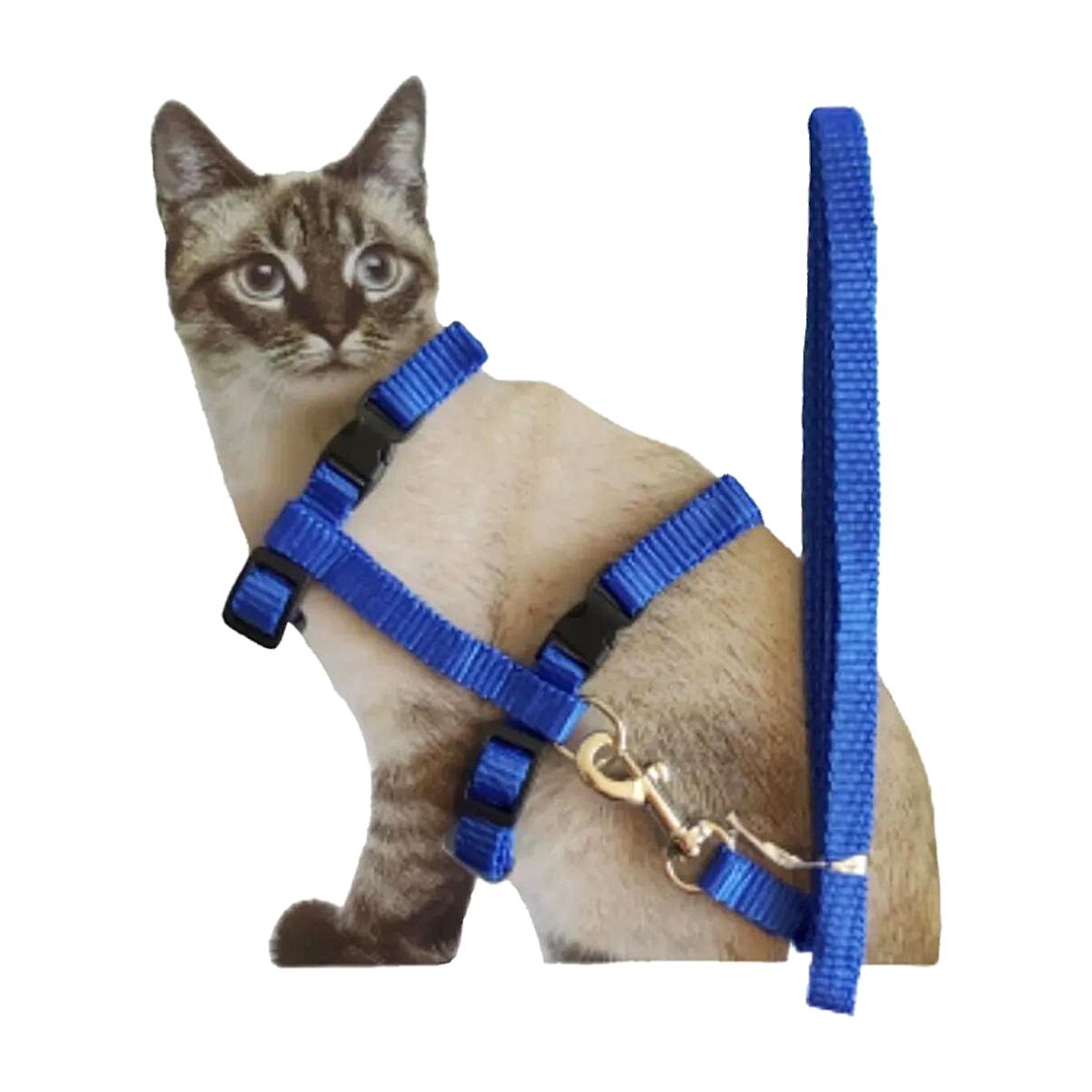 Arnés personalizado para gatos suave y confortable - AnimalComfort