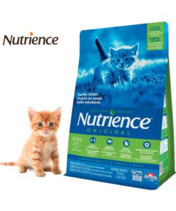 Nutrience kitten para gatitos en crecimiento