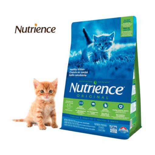 Nutrience kitten para gatitos en crecimiento