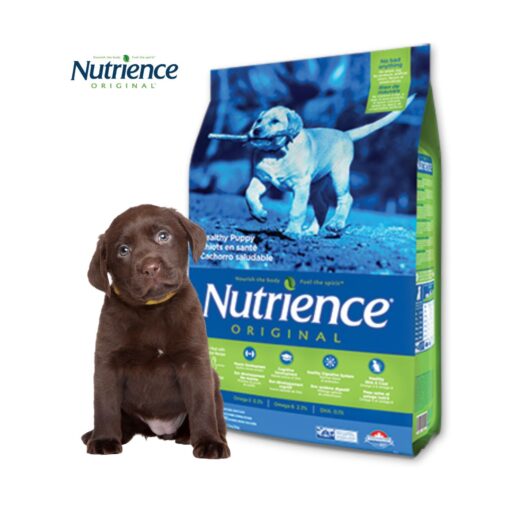 Alimento Nutrience Original Puppy