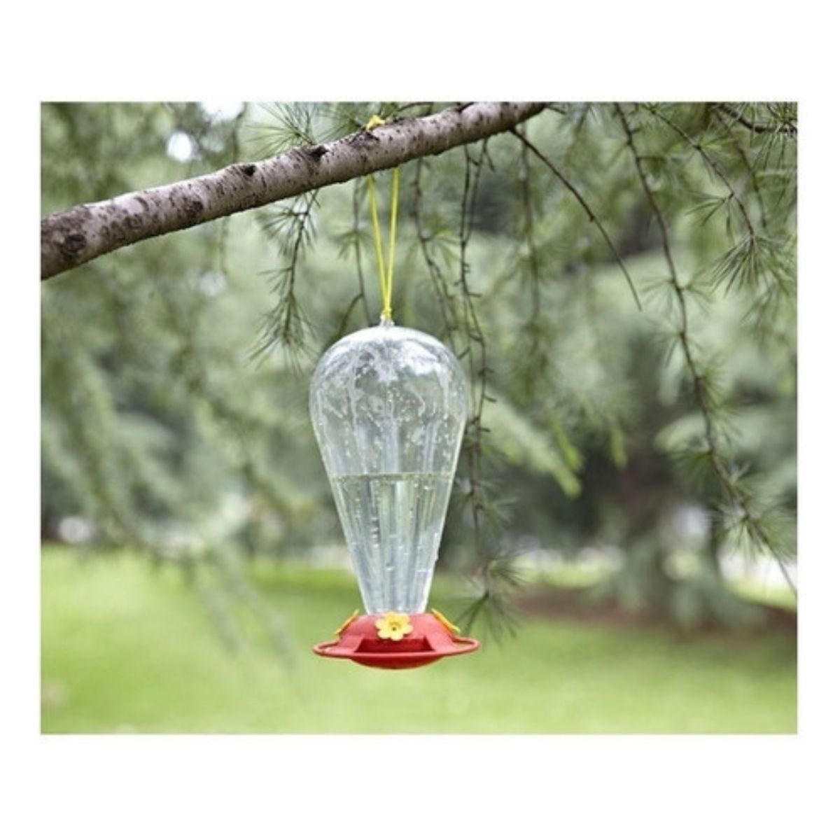 Bebedero Colibrí - 1L