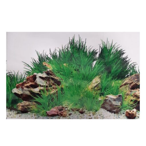Poster Para Acuario 49 cm x 1m