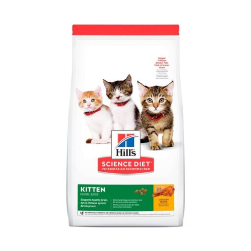 Hills kitten alimento para gatitos