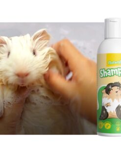 Shampoo Para Cuy