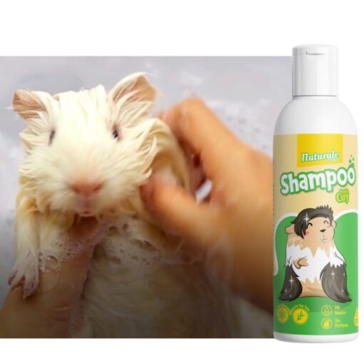 Shampoo Para Cuy
