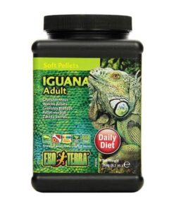 Alimento Para Iguana Adulta