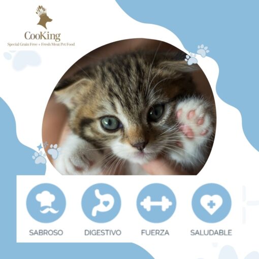 Alimento Cooking Gatito