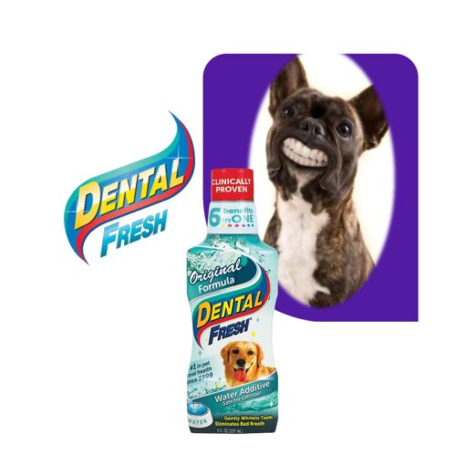 Dental fresh Formula Original
