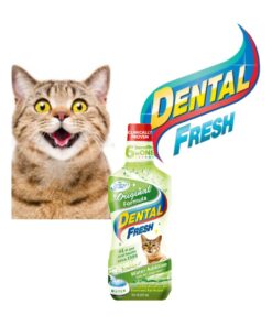 Dental Fresh Para Gato