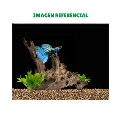 Fondo Para Acuario 40cmX1m
