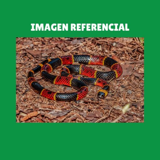 Fauna Salud