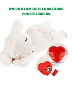 Little Buddy Heart Beat