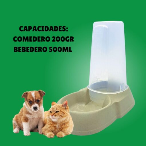 Gato
