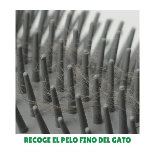 recoge el pelo suelto