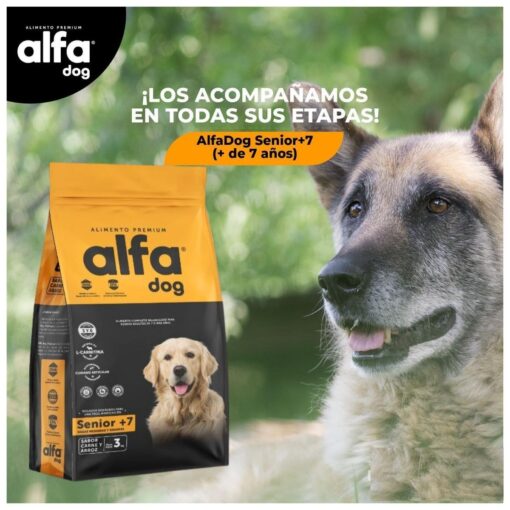 Alimento