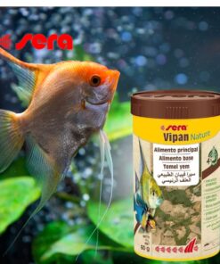 Acuario