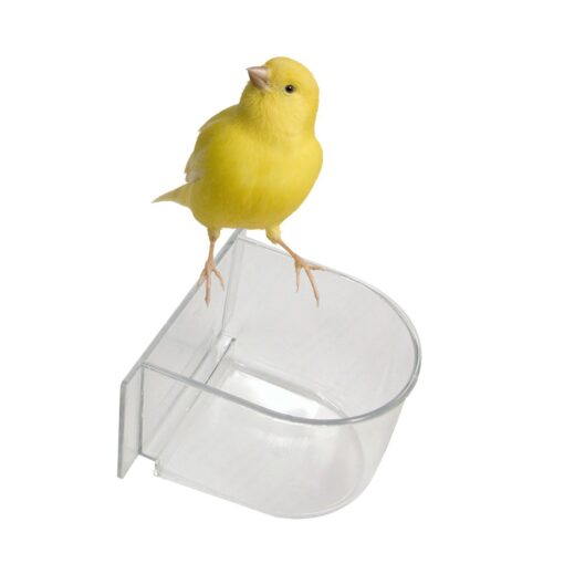 Comedero De Plástico Transparente Para Aves