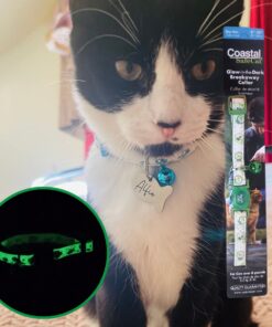 collar para gatos