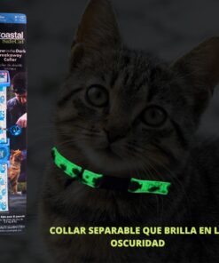 Collar azul