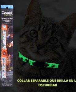 Gatitos