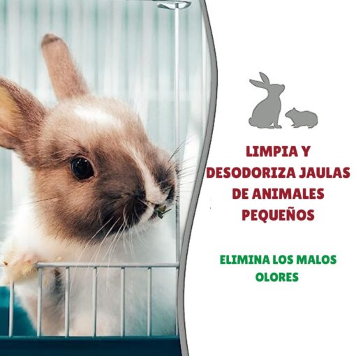Conejo
