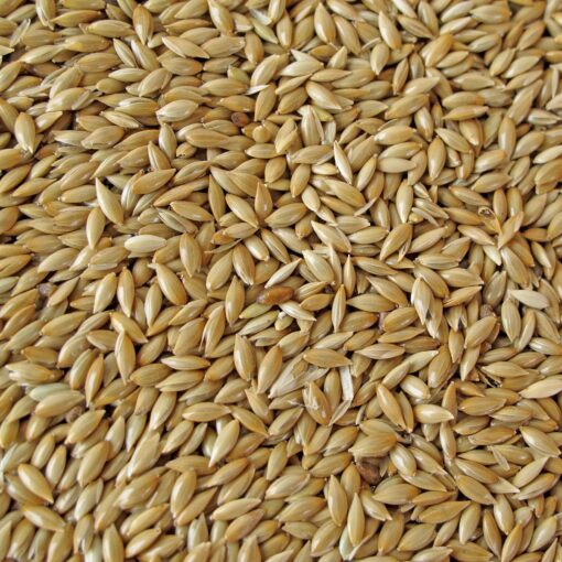 Alimento Para Catas 500 gr