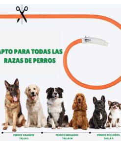 Mascotas