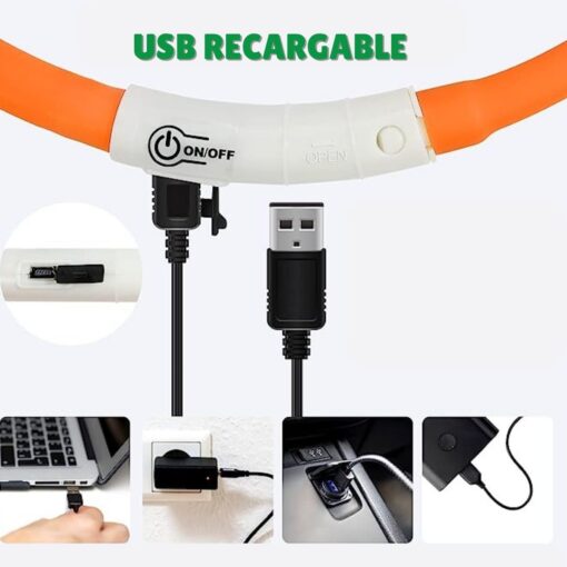 Coastal Collar luminoso Recargable USB