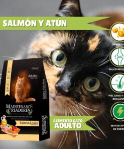 Alimento gatos