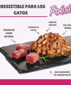Comida húmeda Gatos