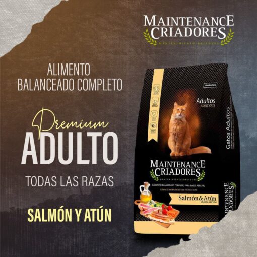 Salmon y atún
