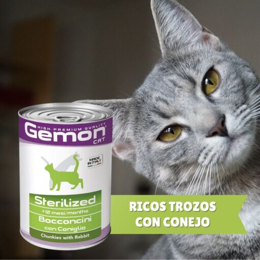 Alimento húmedo