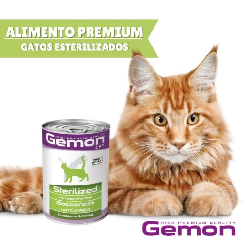comida para gatos adultos