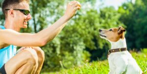 Cómo Entrenar a Tu Perro con Señas