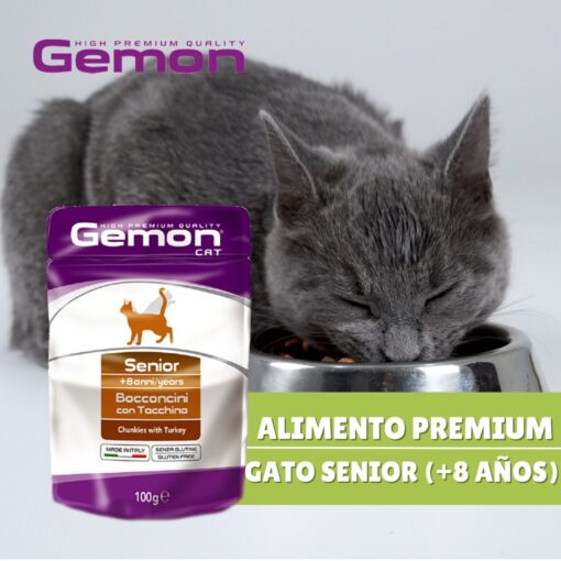 Alimento Húmedo Gemon Cat Senior