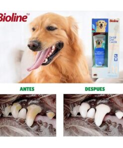 Higiene para mascotas