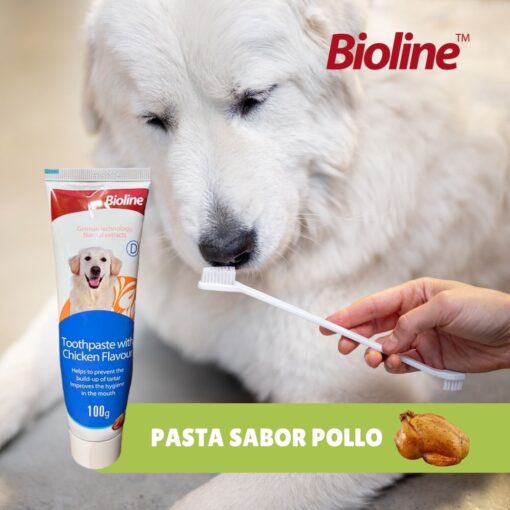Bioline Set Dental Para Perro