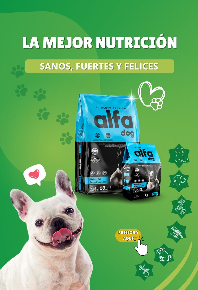 Con Alimento Alfa Dog para adulto Raza Pequeña garantiza la mejor nutricion para tu perro