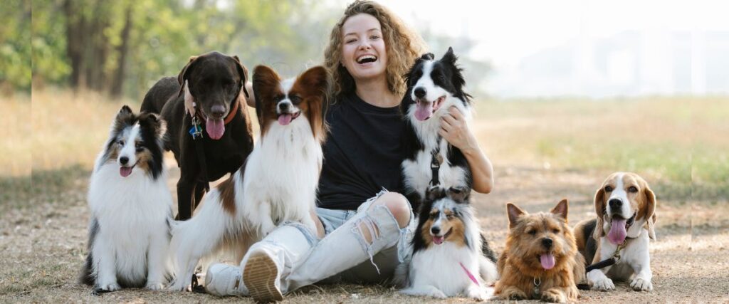 Cómo los Perros Demuestran Amor