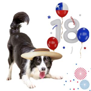 Prepara a tu Perro para Fiestas Patrias y primavera