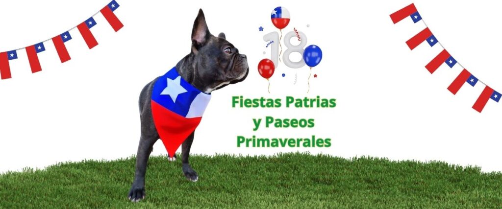 Cuida a tu Perro en Fiestas Patrias