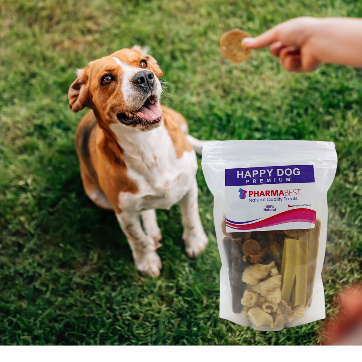 Snack Para Perros Happy Dog Premium Fauna Salud