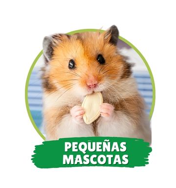 Pequeñas Mascotas