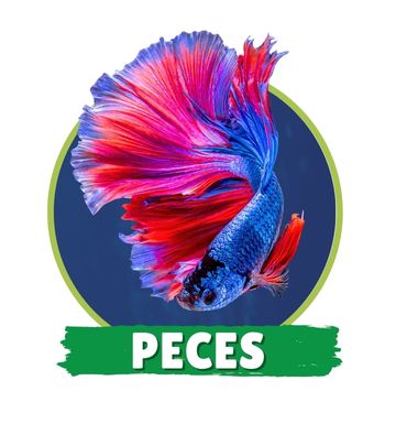 Peces