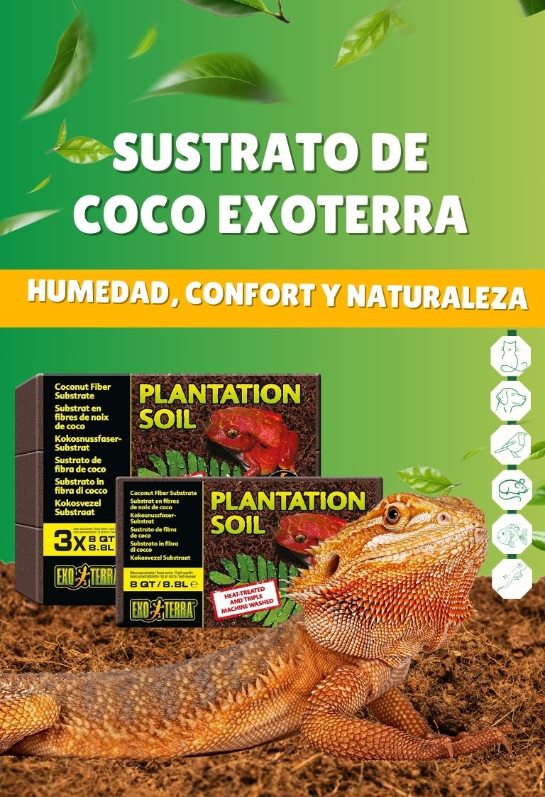 Sustrato de Coco para Reptiles