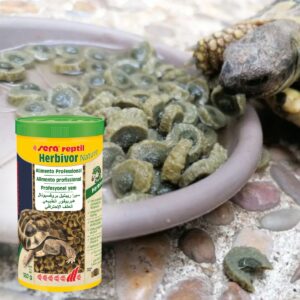 Dieta Equilibrada para Reptiles Herbívoros